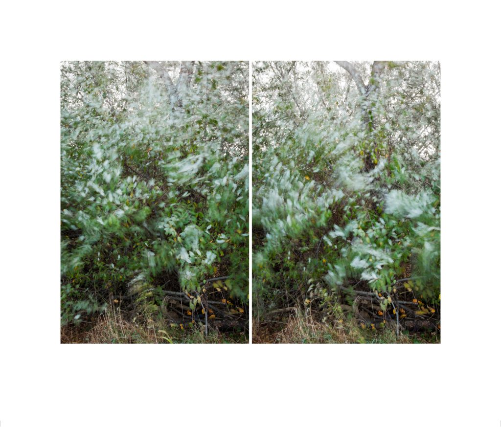 #022, Walks in North Park: October 2014