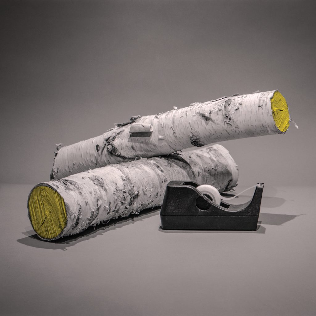 #025, Birch Logs with Tape Dispenser, 2014