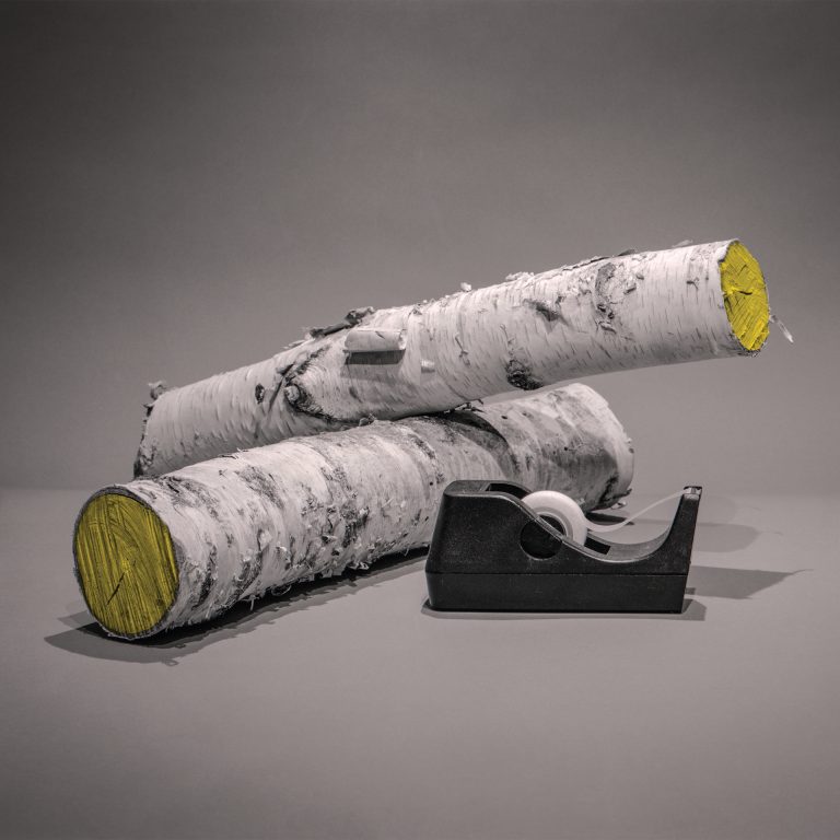 #025, Birch Logs with Tape Dispenser